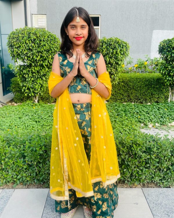 Lehenga with Golden Print & Net Embroidered Dupatta